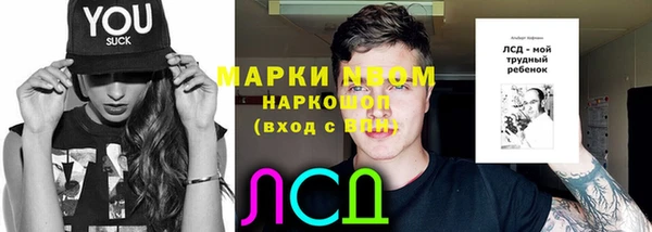 прущие грибы Алексин