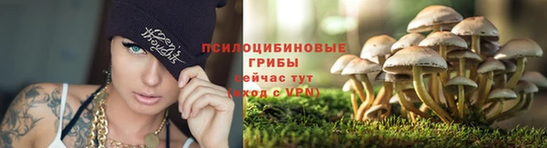 спайс Алзамай