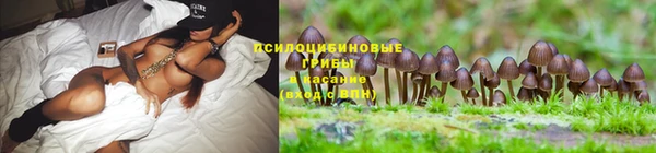 спайс Алзамай