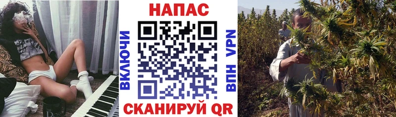 МАРИХУАНА семена  дарнет шоп  Миллерово 